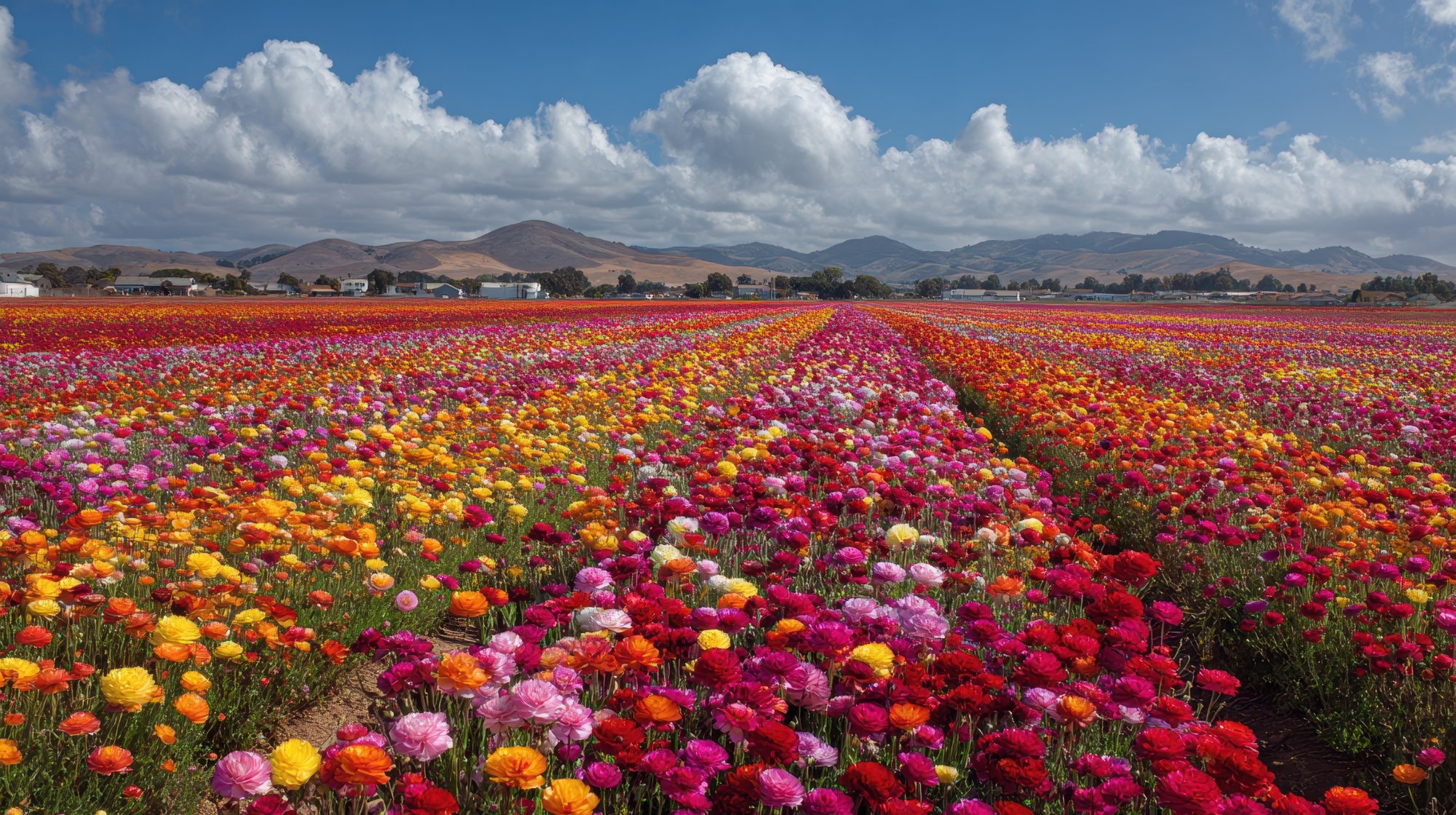 Lompoc real estate market 2026